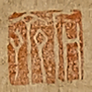 《白沙》
